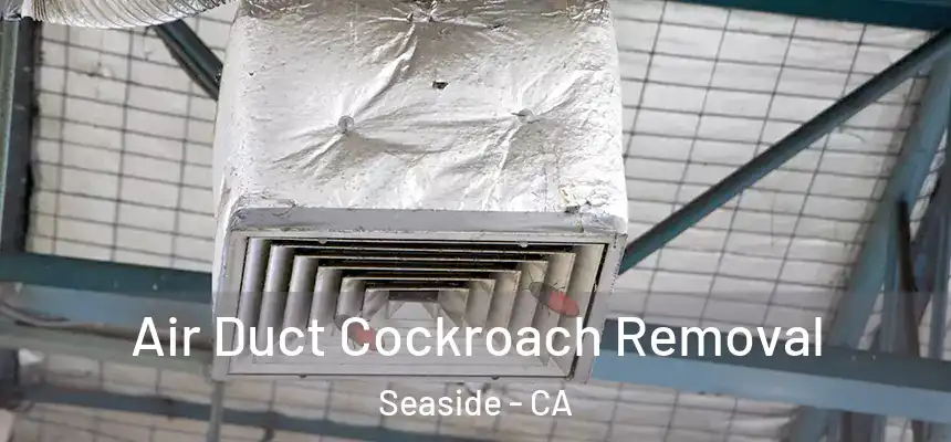  Air Duct Cockroach Removal Seaside - CA