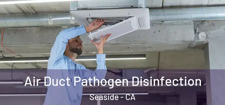  Air Duct Pathogen Disinfection Seaside - CA