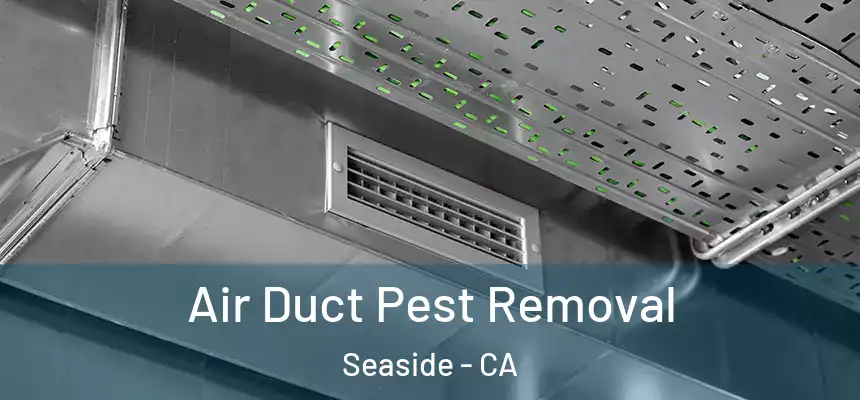  Air Duct Pest Removal Seaside - CA