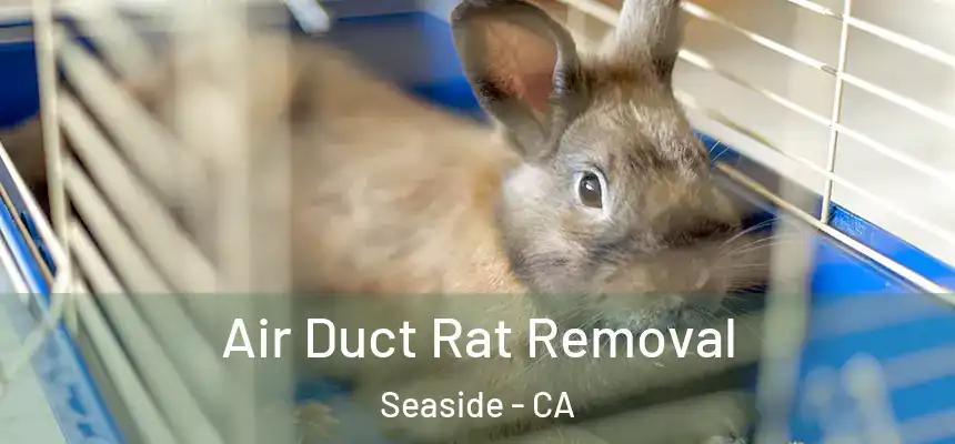 Air Duct Rat Removal Seaside - CA