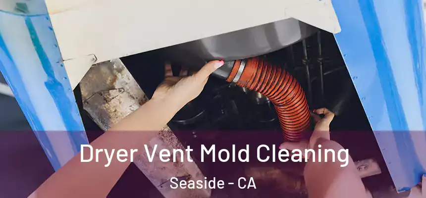 Dryer Vent Mold Cleaning Seaside - CA