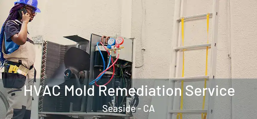  HVAC Mold Remediation Service Seaside - CA