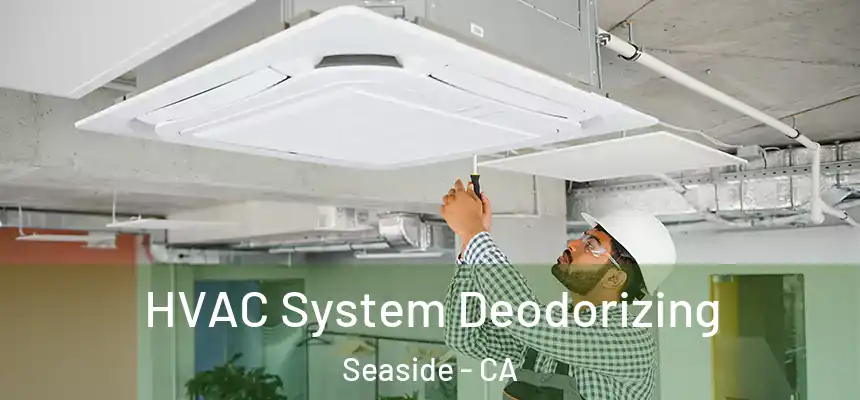  HVAC System Deodorizing Seaside - CA