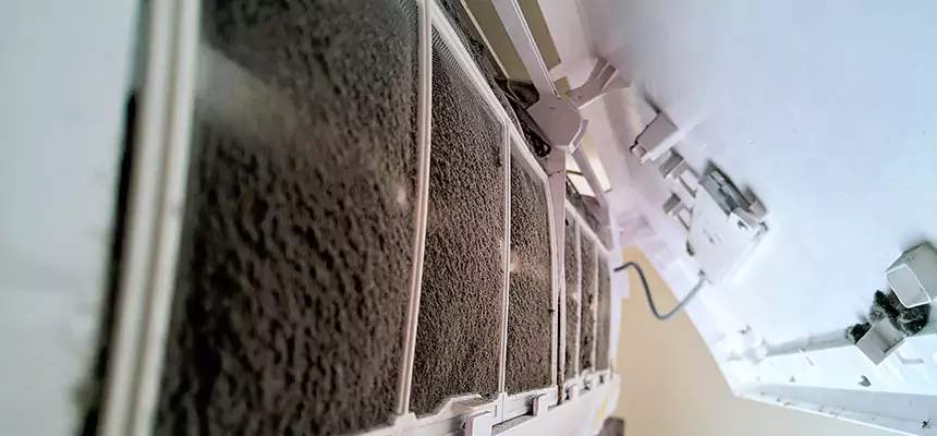 Preventive Air Duct Bacteria Removal in Seaside