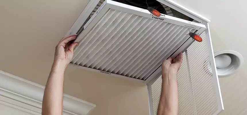Preventive Cockroach-Proofing for Ducts in Seaside