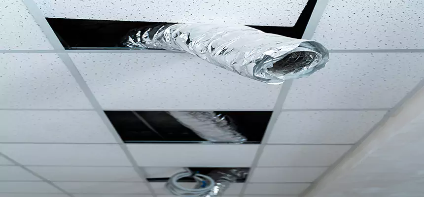 Affordable HVAC Sanitizing After Pest Removal in Seaside