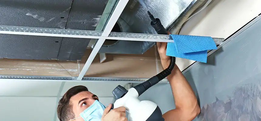 Our Air Duct Rodent Removal Services in Seaside, CA