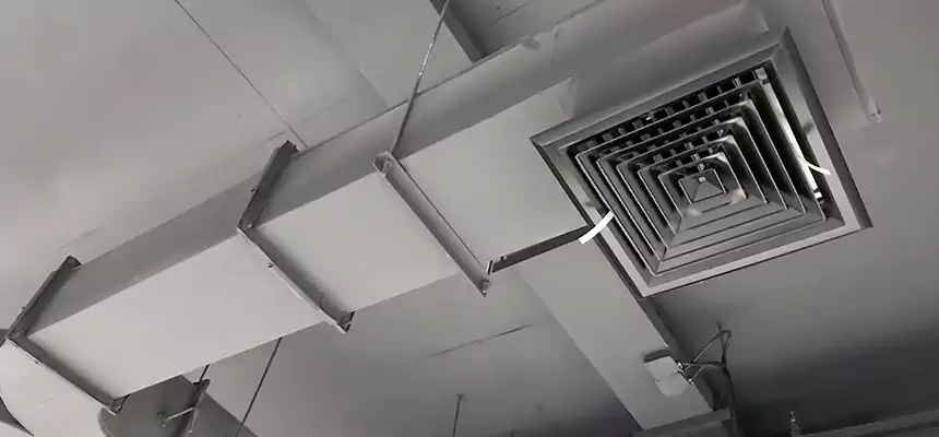 Restorative Allergy Relief Vent Cleaning – Coil, Blower & Housing Detail in Seaside