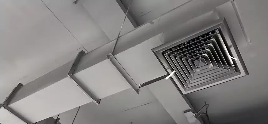 Our Rodent Droppings In Vents Services in Seaside, CA