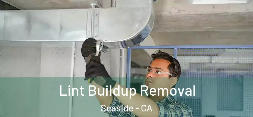 Lint Buildup Removal Seaside - CA