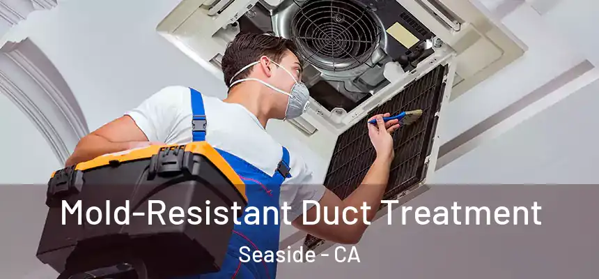  Mold-Resistant Duct Treatment Seaside - CA