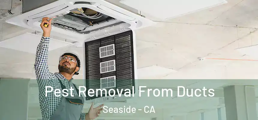  Pest Removal From Ducts Seaside - CA
