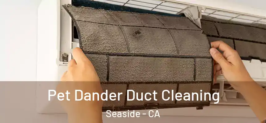  Pet Dander Duct Cleaning Seaside - CA
