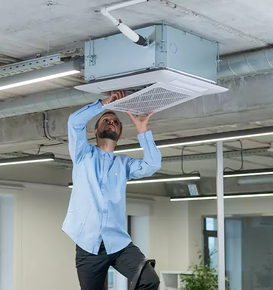Advanced Rodent Droppings In Vents in Seaside, CA