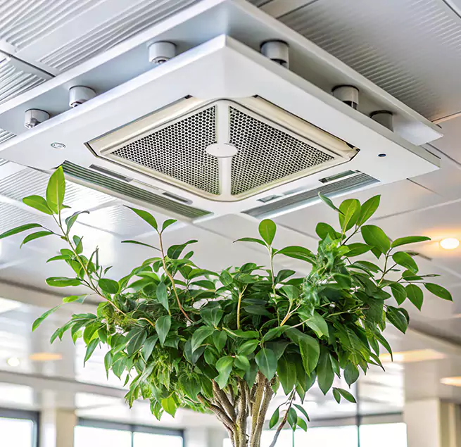 Why Homeowners & Businesses Trust Us in Seaside, CA